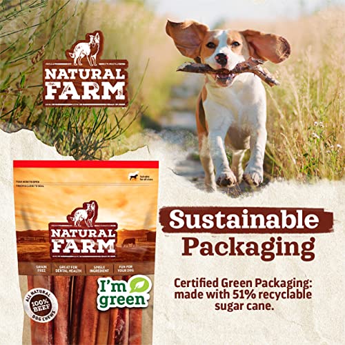 Odor Free Select Bully Sticks (12" Select - 1 Pound)