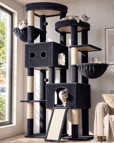 Sturdy Cat Tower for Indoor Cats 20lbs (Dark Grey / 76 inch)