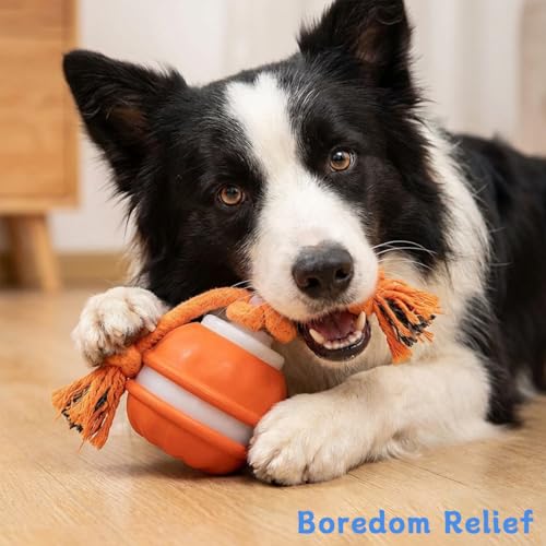 Zealburst Interactive Dog Toy Ball (Orange)