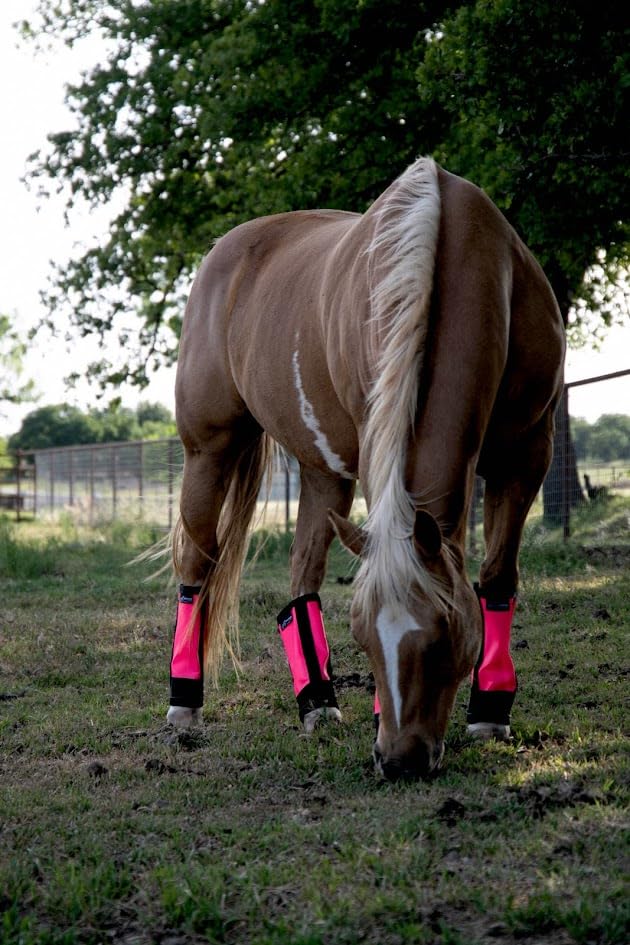 Warrior Fly Boots for Horses (The Warrior / Neon Pink)
