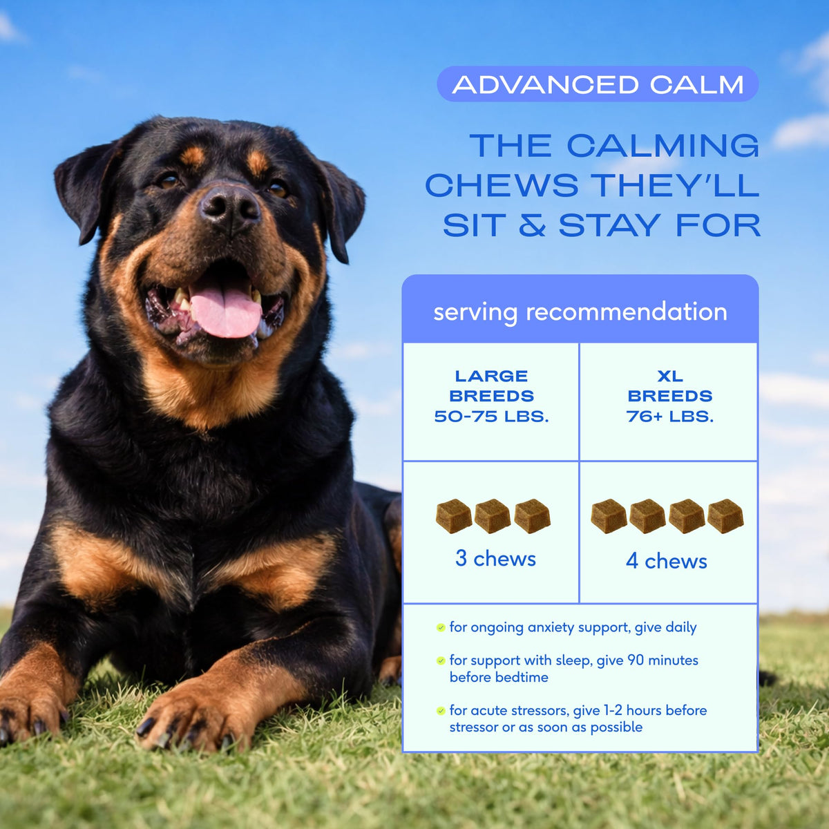 Advanced Calming Chews for Dogs (60 Count)