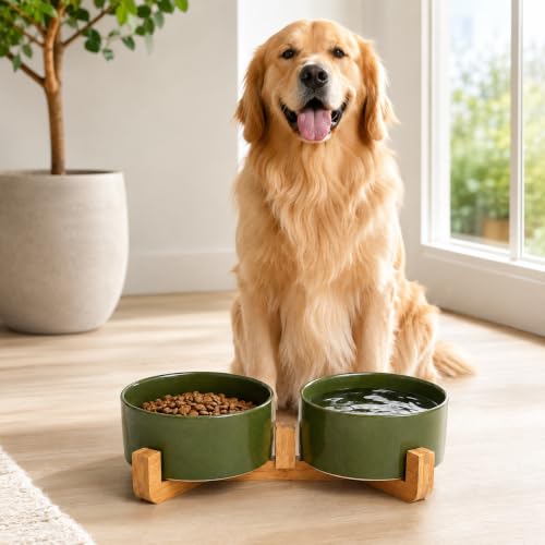 Ceramic Dog Cat Bowl Set with Stand (Rust Green / 850ML*2)