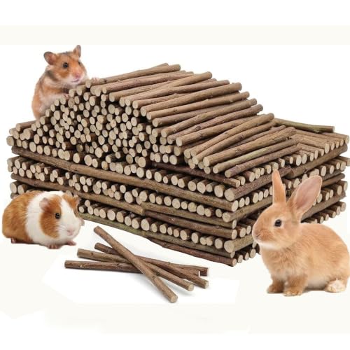 500g Organic Apple Sticks Small Animals Molar Wood Treats Toys for Chinchillas Guinea Pig Rabbits Hamster Gerbil Parrot Bunny Chew Stick Toys