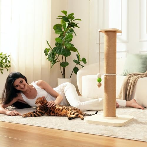 35" Tall Cat Scratching Post for Large Cats