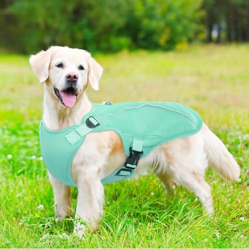 Dog Cooling Vest for Large Dogs with UV Protection (XL (Chest Girth:27.6'') / Mint Green)