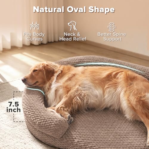 XL Orthopedic Dog Beds Large Sized Dog (Brown / XL(42"x 32"x 7"))