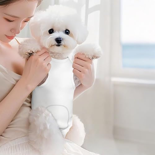 Custom Cat Surgery Recovery Suits Cat Onesie After Neuter Surgery Clothes for Little Animals (White / X-Large(8-10kg))