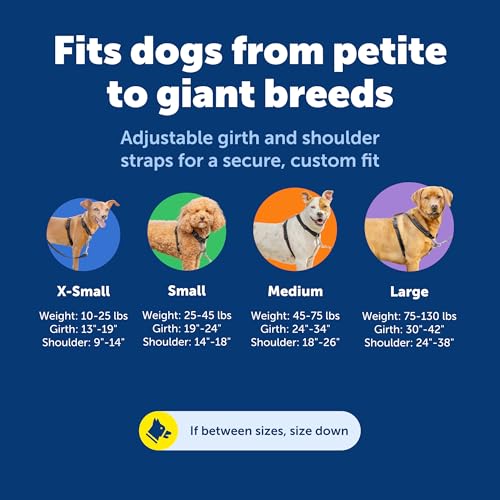 3 in 1 No Pull Dog Harness (Black / Medium (Pack of 1))