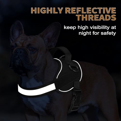 Essential Dog Harness (M / Black)
