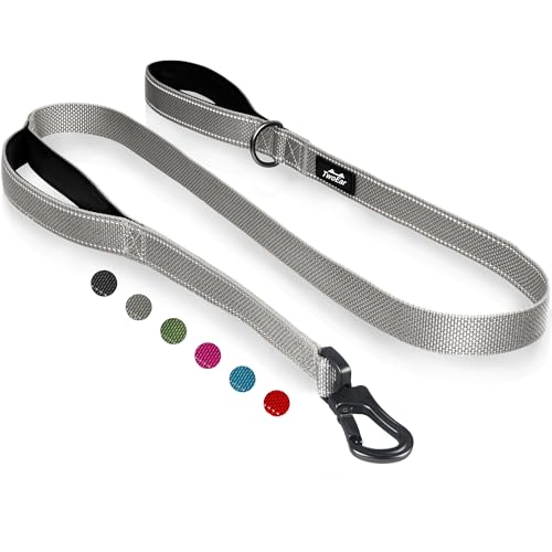 6FT 1IN Heavy Duty Dog Leash for Large Dogs with 2 Padded Handles (Grey / 1 in x 6 ft)