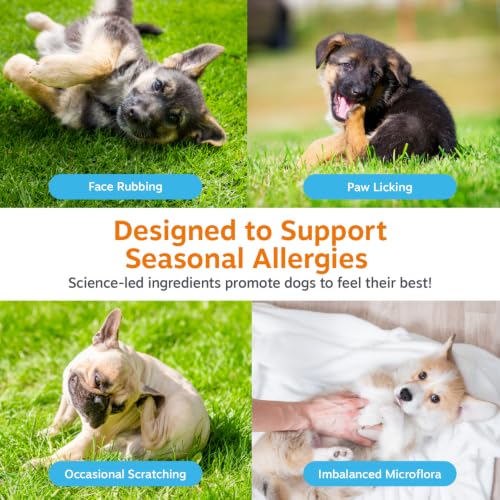 Puppy Dog Allergy Chews (90 Count (Pack of 1) - Puppy)