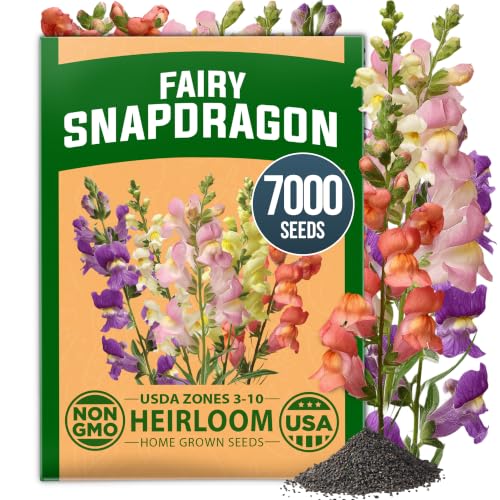 Fairy Snapdragon Seeds