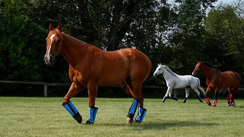 Warrior Fly Boots for Donkeys (Mighty Warrior / Gray)