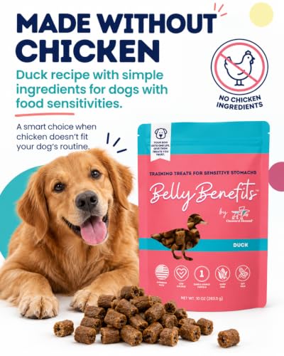 Belly Benefits Soft Dog Training Treats (4 Ounce)