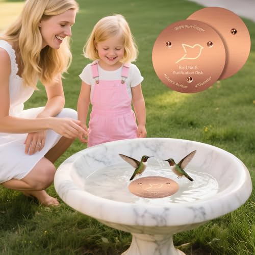 2 Pack Bird Bath Copper Disk (Copper/2PCS)