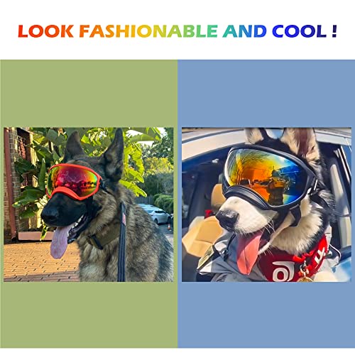 Large Dog Sunglasses