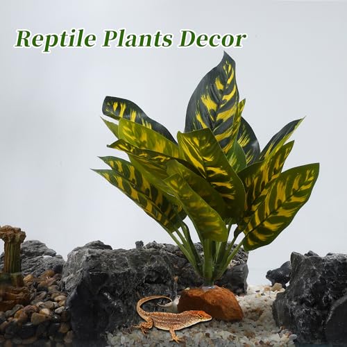 Reptile Plants Decoration