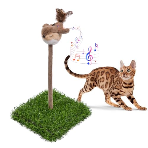 Interactive Cat Toy for Indoor Cats (Green & Brown-Square)