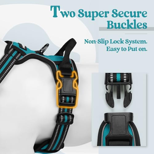 Dog Harness No Pull with 2 Leash Clips (Large / Teal)