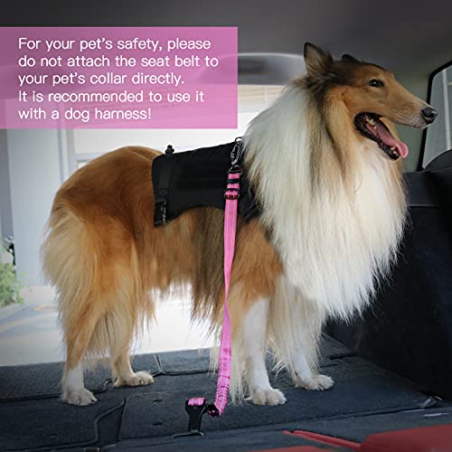 Dog Seat Belt for Car (Set Black+Hotpink)