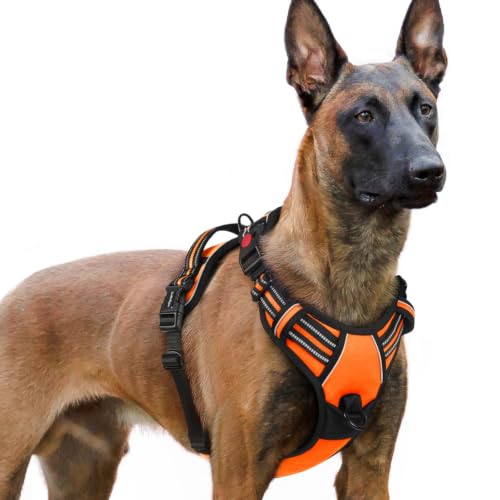 Dog Harness for Large (X-large / Orange)