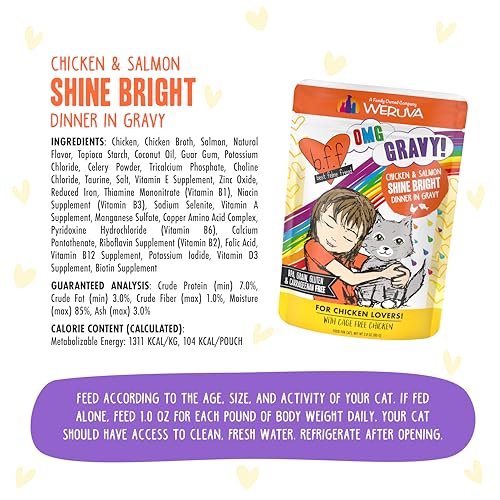 B.F.F. OMG Best Feline Friend Oh My Gravy! (2.8 Ounce (Pack of 12))