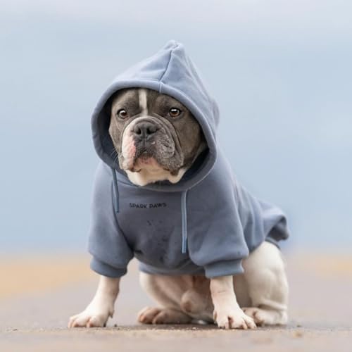 Dog Hoodie Buttery (Slate Blue / XX-Large)