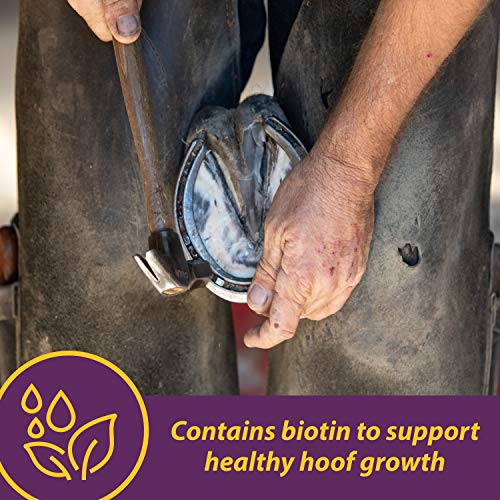 Vita Biotin Crumbles Horse Hoof Supplement (Biotin / 3 pounds)