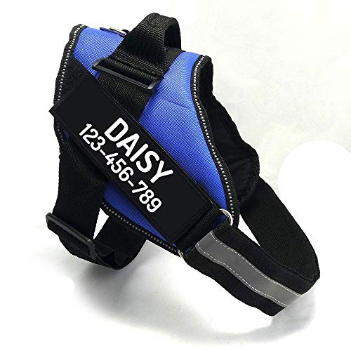 Custom No Pull Dog Harness with Name and Phone Number (S (10-19LBS) / Blue)