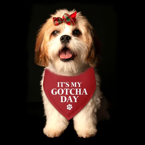 It's My Gotcha Day Dog Bandana Adopt Me Bandanas for Dogs Adoption Gotcha Day Adopted Baby Dog Announcement Adopt Me Pets Scarf for Small Medium Dogs & Cats (W)