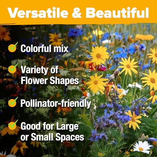 24 Wildflower Variety Mix 90