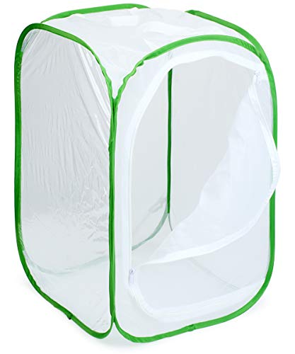Insect and Butterfly Habitat Cage Terrarium Pop (White With Green / 15.7 x 15.7 x 23.6 inches)
