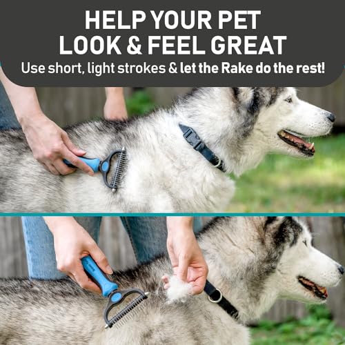 Pet Grooming Brush and 2X Grooming Gloves Combo (A1 - Rake & Glove (Best Value) / Large)
