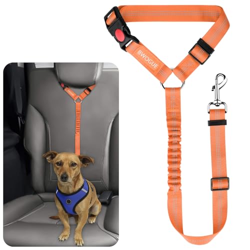 Dog Seat Belt for Car (Orange)