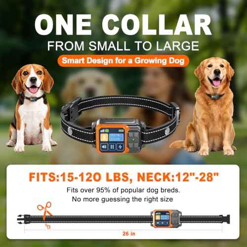 Wireless Dog Fence