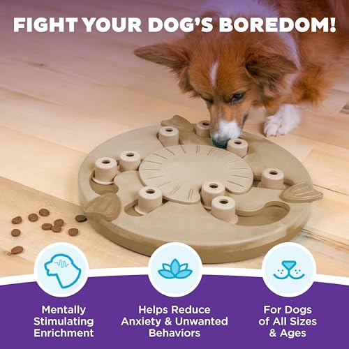 by Nina Ottosson Dog Worker Treat Puzzle Enrichment Toy