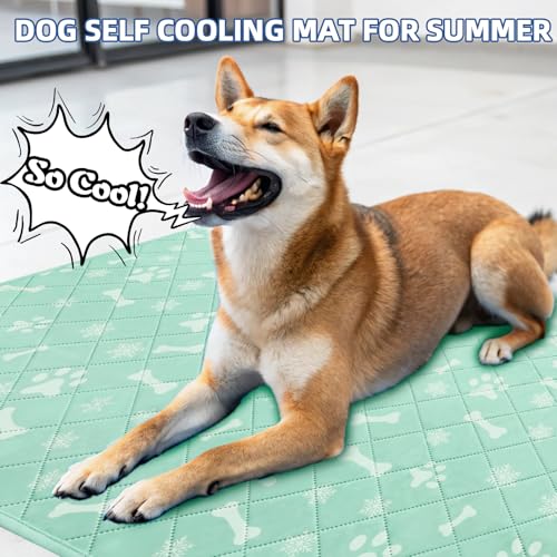 Self Cooling Mat for Dogs (X-Small 16IN x 20IN / Lake Green)