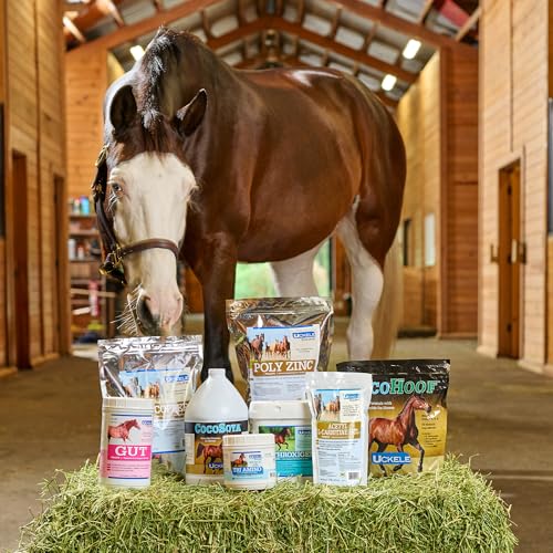 SmartEquine Horse Biotin Powder