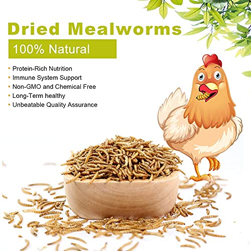 10oz Dried Mealworms for Chickens Duck High Protein Birds Treat (10 Ounce (Pack of 1))