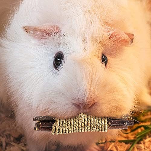 Rabbit Toys 3 Types Hamster Chew Toys for Teeth Grinding (15Pcs)