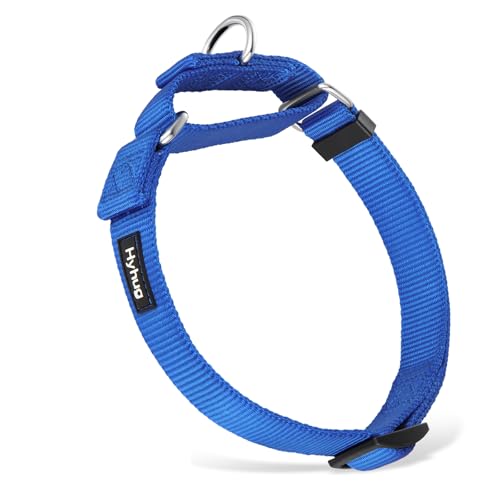 Martingale Dog Collars for Medium Dogs (Medium / Bright Blue)