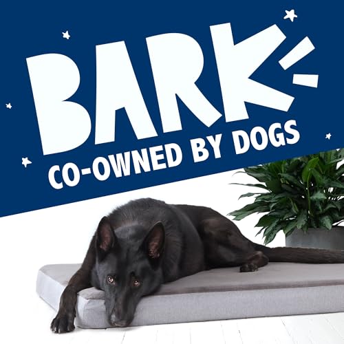 Orthopedic Dog Bed (Grey / Medium)