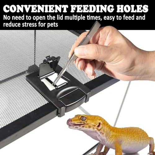 Mini Reptile Glass Terrarium Tank (1.69gal：7.9"L x 7.9"Wx 5.7"H)