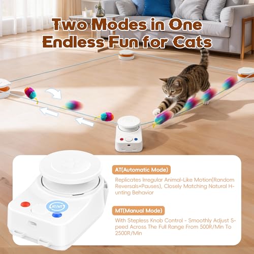 Interactive Cat Toy for Indoor Cat (H1K3)