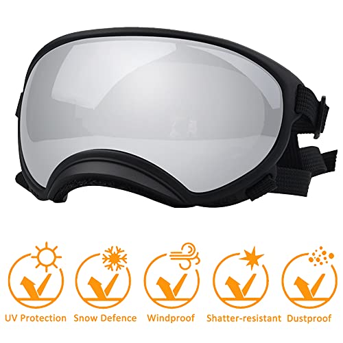 Large Dog Sunglasses
