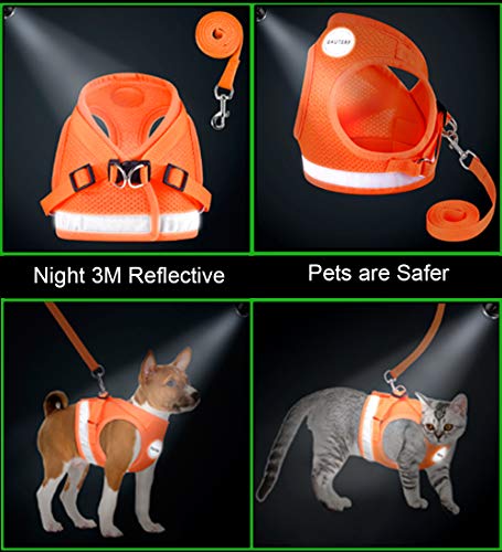 Cat Harness and Leash Set (S (Chest: 9" - 11") / Orange)