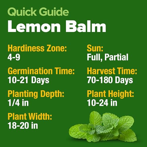 Lemon Balm Seeds