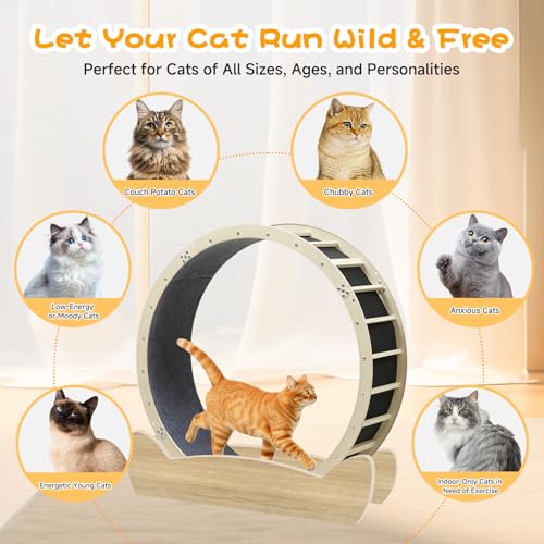 Cat Wheels 40" Diameter