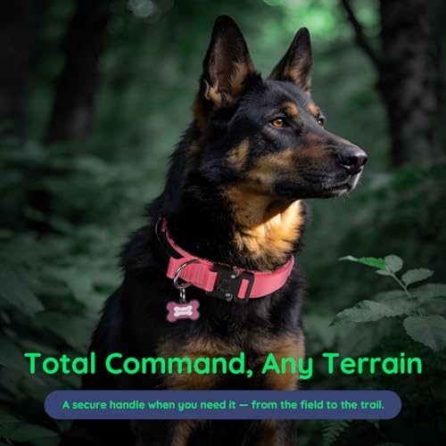 Premium Tactical Dog Collar (Pink / L: Fits Neck 17.5"-21.5")