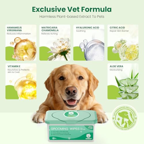 Pet Wipes for Dogs & Cats (1 Box-100 Count)